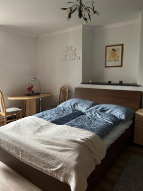 Center No 1 Bad Ischl